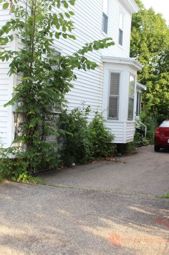 15 New York St, Dover, NH 03820-3128