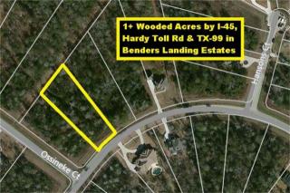 5107 Ossineke Dr, Spring, TX 77386-3789