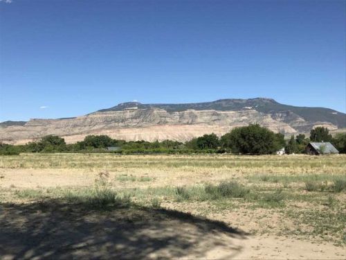 780 35 8/10 Rd, Palisade, CO 81526-9745