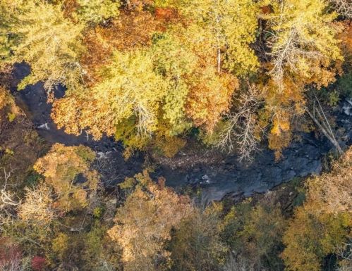 143 Ward Rdg Rd, Big Canoe GA  30143-0066 exterior