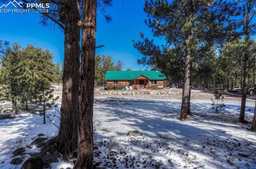 141 Cabin Ln, Guffey, CO 80820-9681