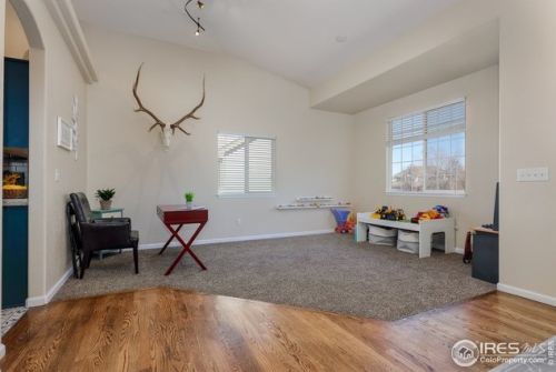 338 Graham Ln, Loveland CO exterior