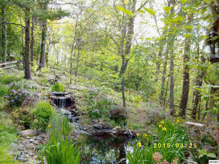 2887 Pine Haven Dr, Pigeon Forge, TN 37862-7538