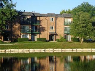 2613 Pirates Cv, Schaumburg IL  60173-6314 exterior