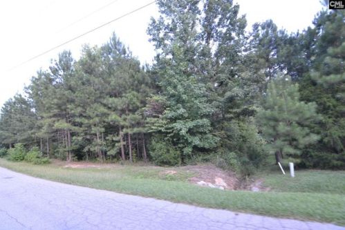 27 Sease Ct, Smallwood, SC 29130-9402