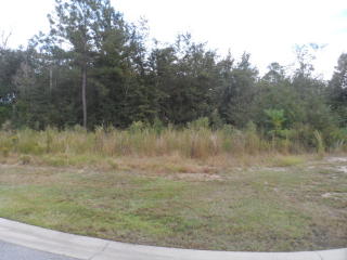 1293 Peacock Trl, Hinesville, GA 31313-4132