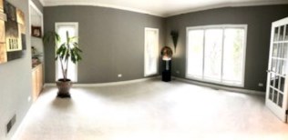 10 Loblolly Ct, Lemont IL  60439-7744 exterior