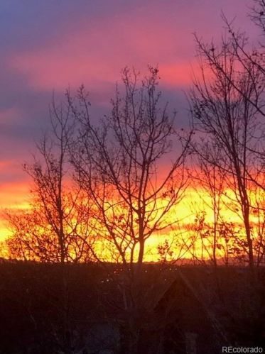 24357 Fremont Dr, Denver CO  80016-4102 exterior