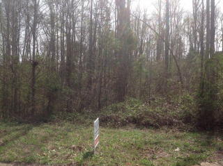 1141 Felton Dr, Watkinsville, GA 30677-7031