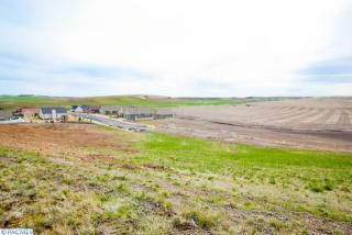 1115 Line Ct, Colton, WA 99113-5003