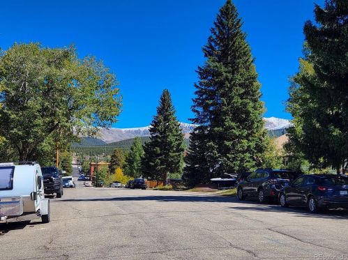 314 8 St, Leadville CO 80461-3139 exterior