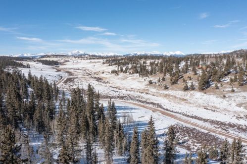 2544 Longbow Dr, Fairplay, CO 80456-0422