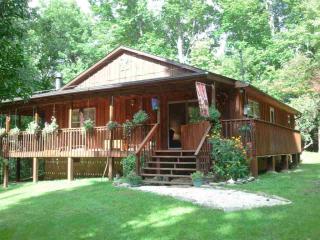 4490 Chestnut Mountain Way, Cosby, TN 37722-2160
