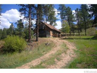 15934 Willow Way, Deckers CO  80135-9770 exterior