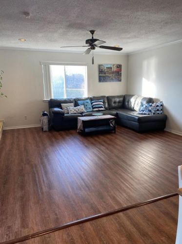 3123 Oak Hl Rd, Carrollton TX 75007-3543 exterior