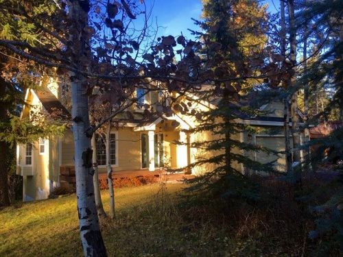 625 Woodlands Dr, Mccall, ID 83638-0019