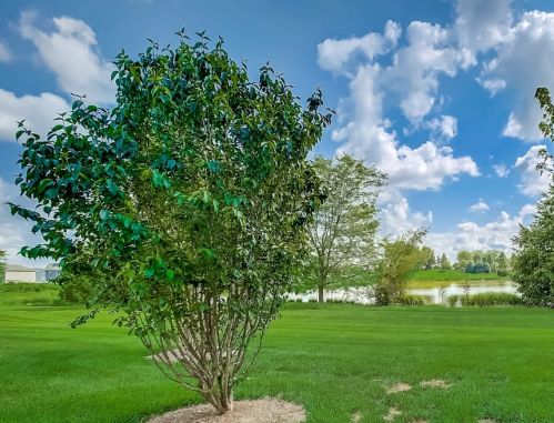 1403 Lighthouse Ln, Pingree Grove IL  60140-2076 exterior