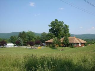 8 Bassetts Bridge Rd, Wantage, NJ 07461-3939