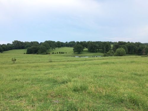 682 Brewer Rd, Sidney, AR 72577-9306