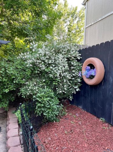 4063 Quintero Way, Aurora CO 80013-3229 exterior