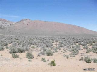 4276 Bosler Way, Wellington, NV 89444-9333