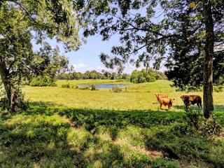4300 Highway 290, Brenham, TX 77833-0822
