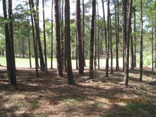 1041 Kimbrough Hill Dr, Reynolds Plantation, GA 30642-4992