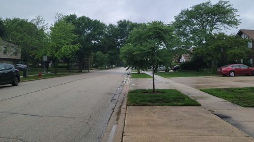 307 Walters Ln, Itasca, IL 60143-2871