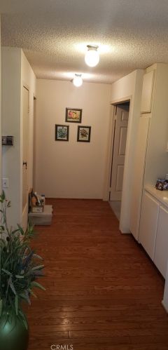 4 Silkgrass, Irvine CA  92614-7082 exterior