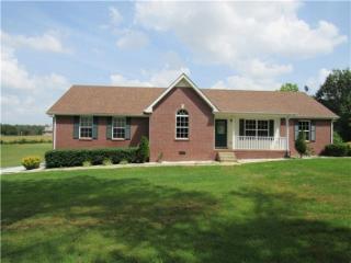 8672 New Chapel Rd, Springfield, TN