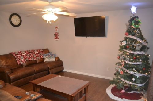 155 Cook St, Braidwood, IL 60408-1430