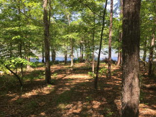 131 Spyglass Dr, Greenwood, SC 29649-8809