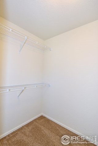 2673 Sapphire St, Loveland CO 80537-2024 exterior