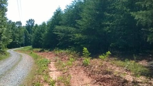 1099 Judsville School Rd, Devotion, NC 27017-7598