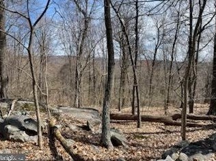 12629 Mountainhouse Ln, Purcellville, VA 20132-1849