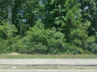 7466 Cherry Blossom Way, Winston, GA 30187-2069