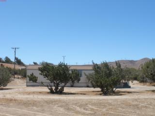 35530 Jumping Cactus Trl, Palmdale, CA 93550-9221