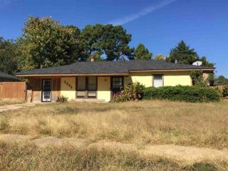3336 Spring Shadow Dr, Memphis, TN 38118-8173