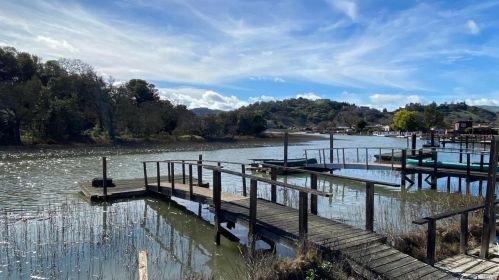 51 Vendola Dr, San Rafael, CA 94903-2949