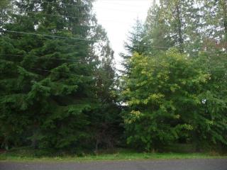 21216 Kelley Lake Rd, Sumner, WA 98391-8431