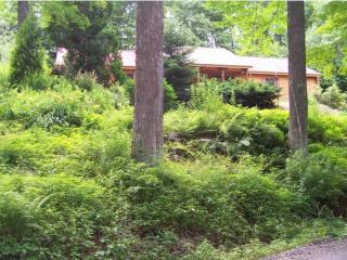 1527 Fuller Hl Rd, Whitingham VT  05361-9798 exterior