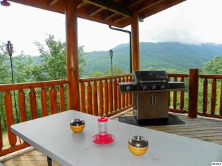 3074 Sulfur Springs Way, Pigeon Forge, TN 37862-7880