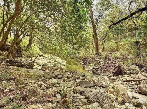 3202 Beanna St, Austin TX  78705-2510 exterior