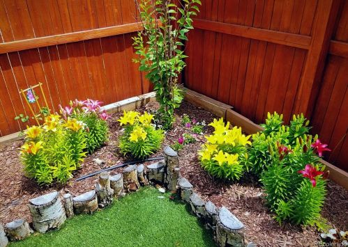 3734 Dexter St, Denver CO 80220-5033 exterior