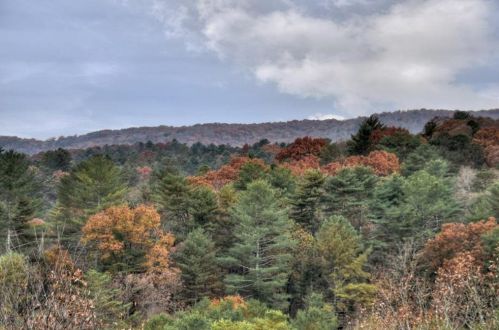 29 Cartecay Ct, Ellijay, GA 30536-6876