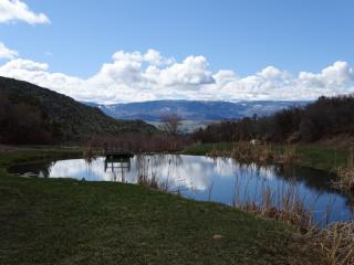 18957 Kimball Creek Rd, Collbran, CO 81624-9641