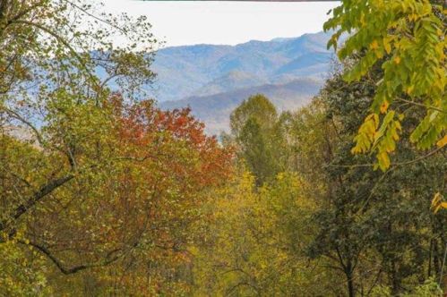 1257 Monteith Branch Rd, Sylva, NC 28779-7746