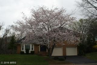 35 Whittingham Cir, Dulles VA  20165-6231 exterior