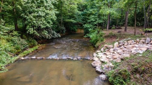 169 Huckleberry Ln, Ellijay, GA 30536-8153