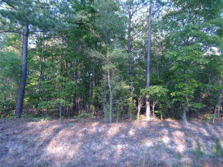 1307 Hidden Oak Dr, Foreston, SC 29102